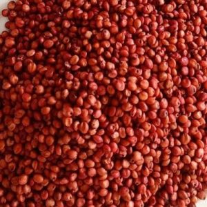 গুয়াতেমালা ঘাস বীজ ১ কেজি