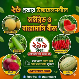 ২৬ প্রকার সবজির বীজ